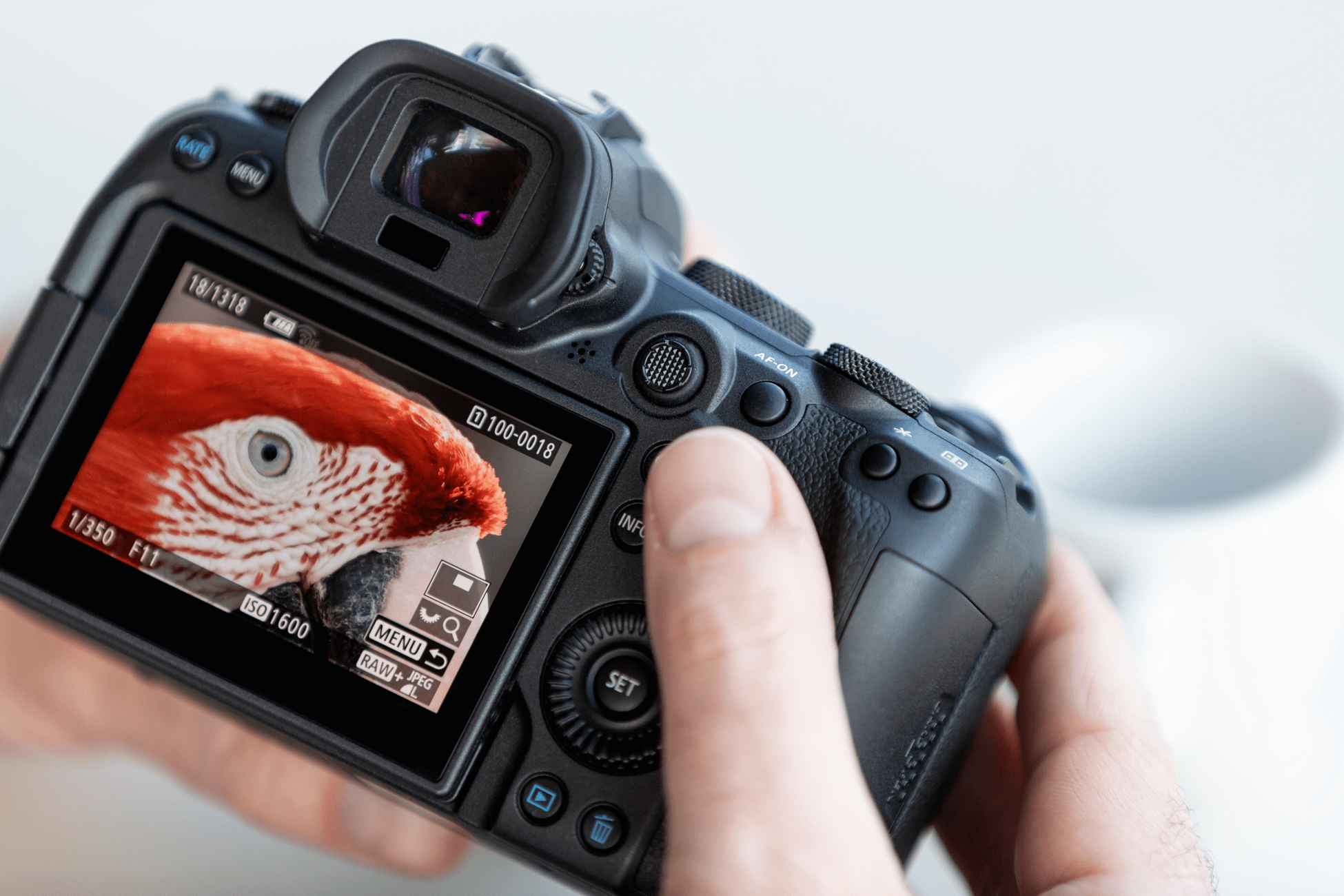 Canon EOS R6